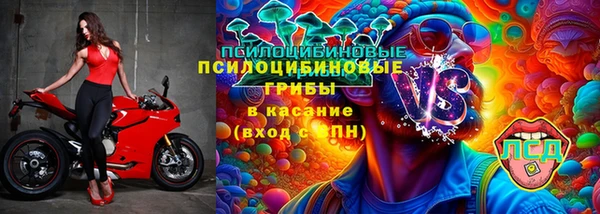 mix Богородицк